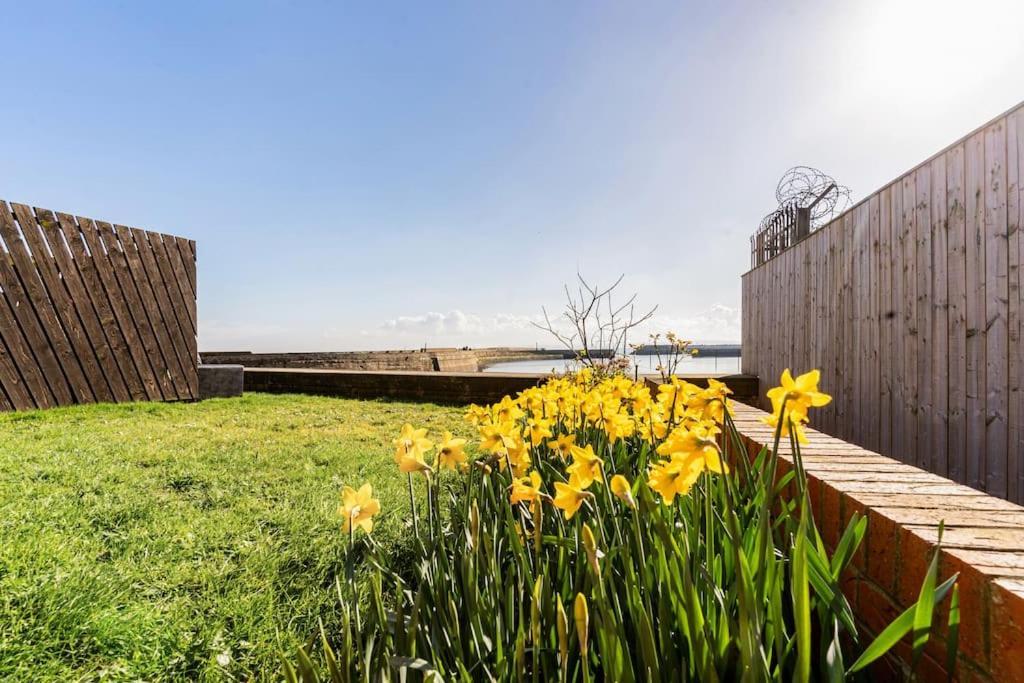 Stunning Ground Floor Hartlepool Marina Apartment Eksteriør bilde
